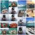 บริการให้เช่าเรือยอร์ชขนาด 10-15 คน 16 -30 คน และ 31-50 คนที่พัทยา และ บริการให้เช่าเรือยอร์ชที่ภูเก็ต 1 -25 คน ติดต่อ คุณ บอย 086-347-4486,0814008047